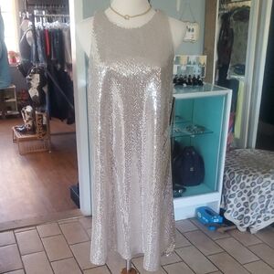 NWT Halogen Silver Sheath Midi Dress, M